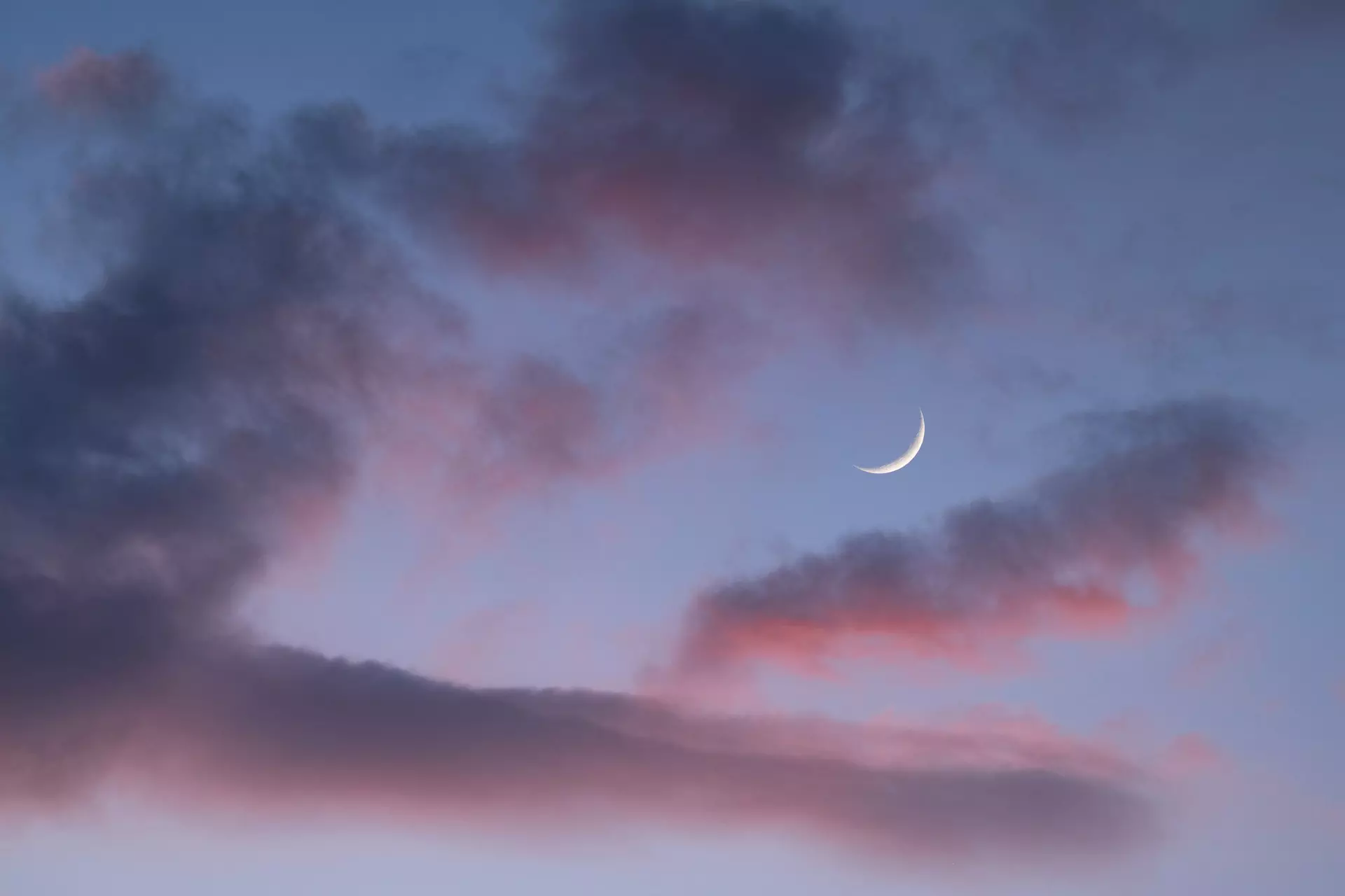 day8